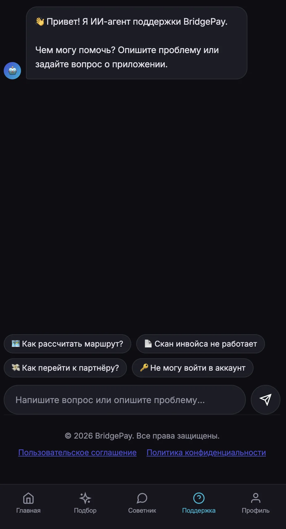 BridgePay — Превью 4