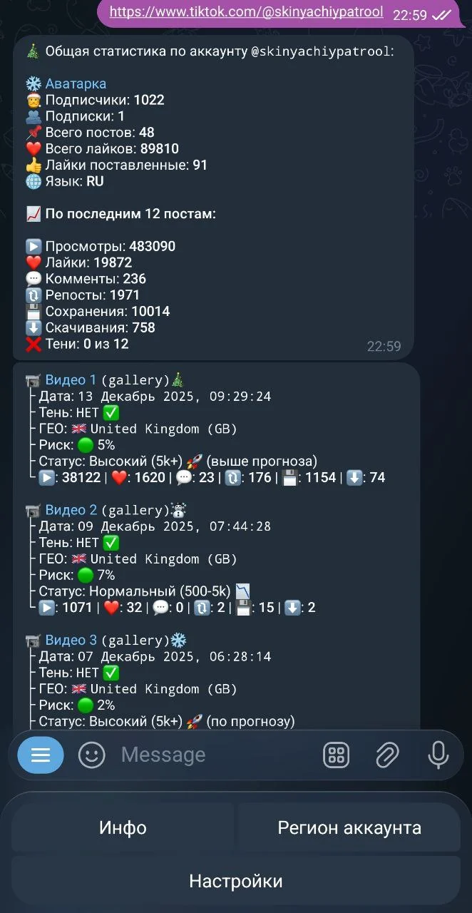 TikTok Accounts Checker — Preview 2