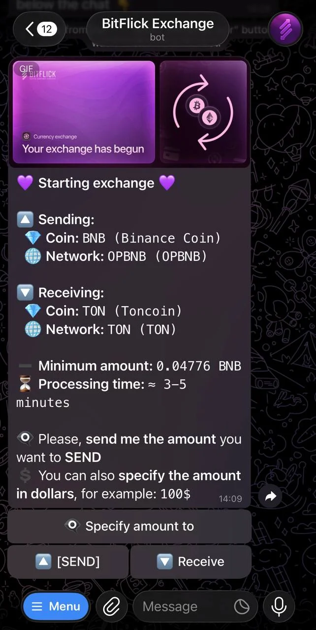 BitFlick Exchange — पूर्वावलोकन 3