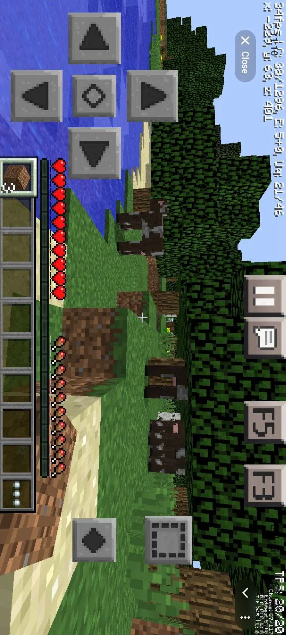 Eaglercraft — Preview 2