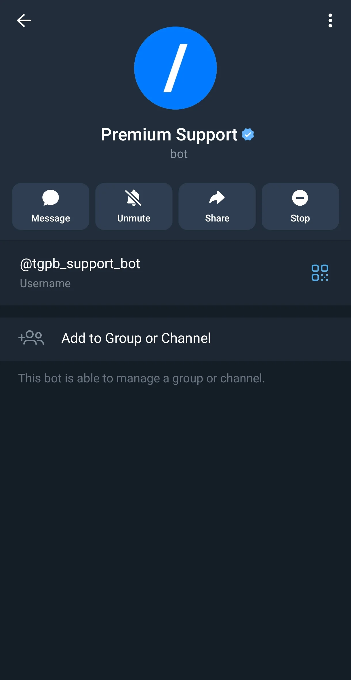 Premium Support — Превью 2