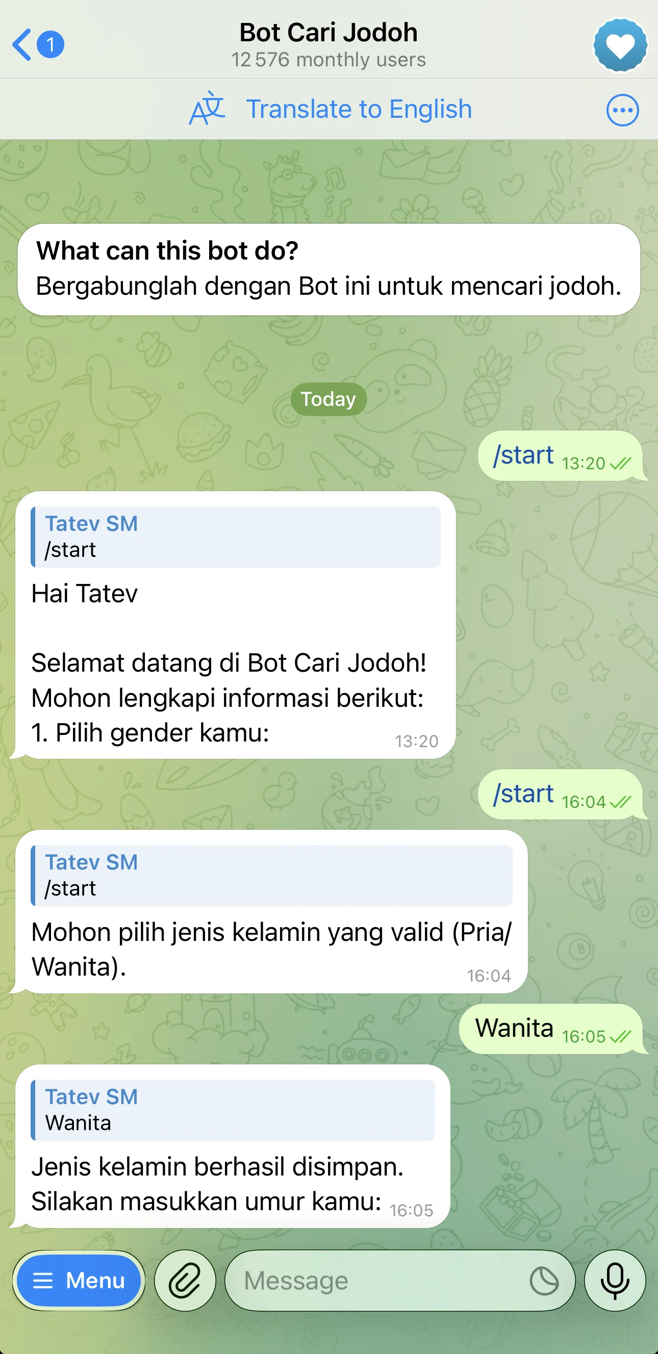 Bot Cari Jodoh โ Preview 1