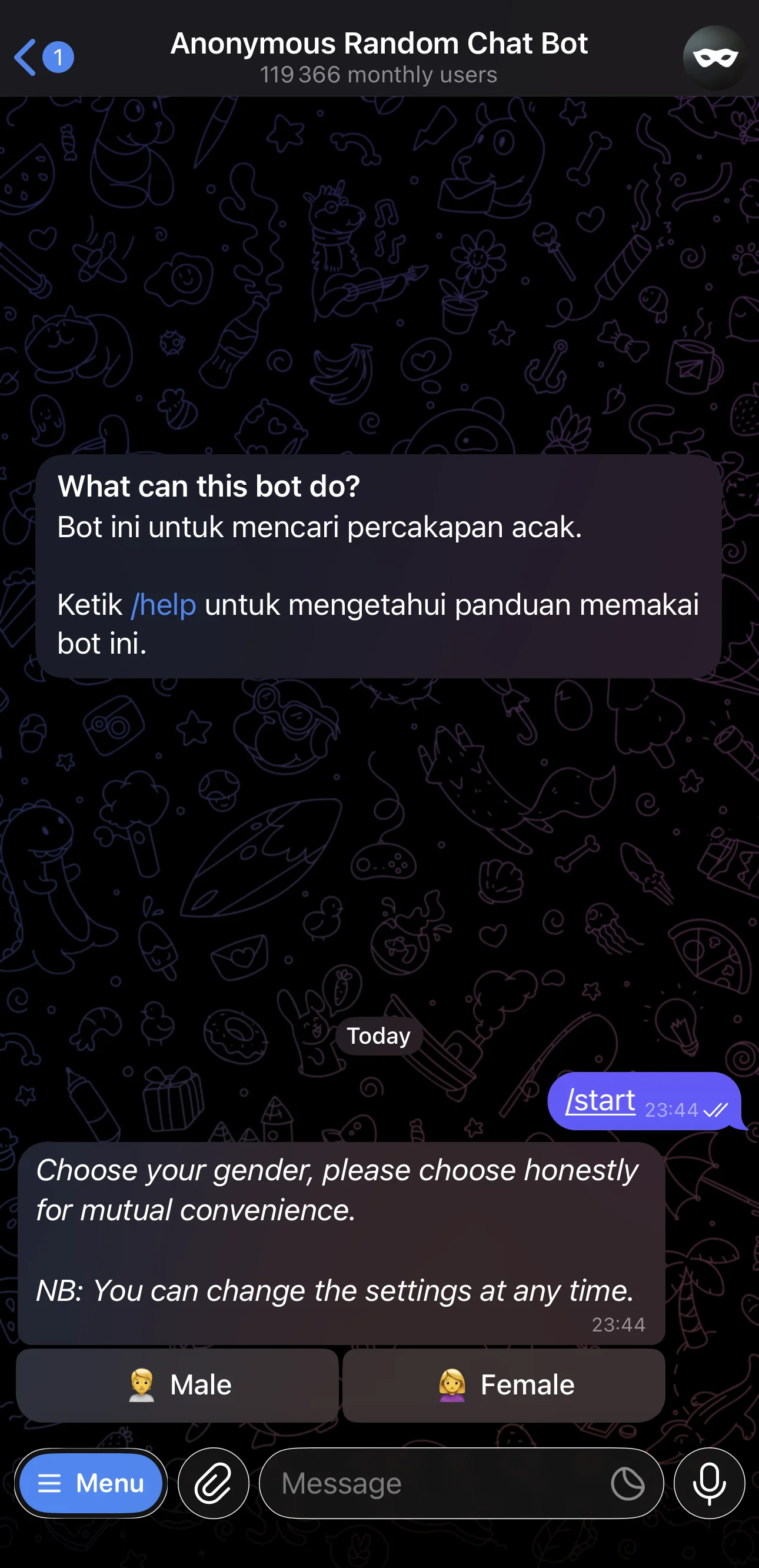 Anonymous Random Chat Bot — Aperçu 1