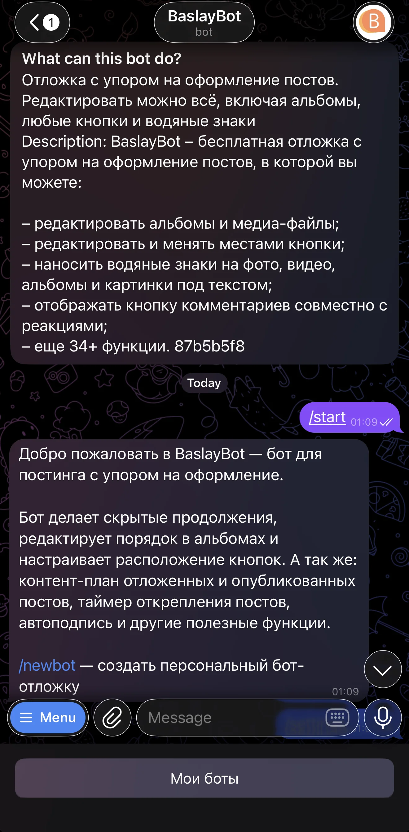 BaslayBot — Preview 1