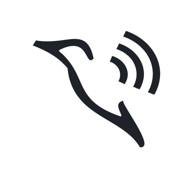 BIRD VPN icon