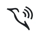 BIRD VPN
