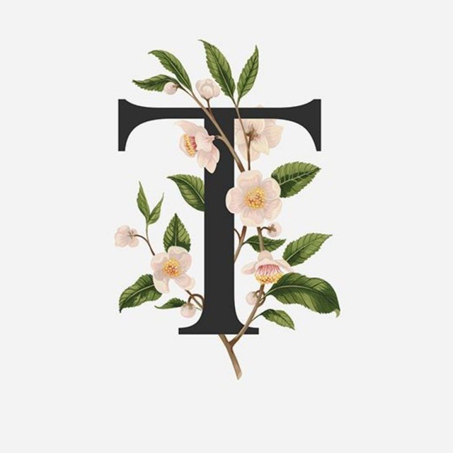 Beautiful fonts 📝 icon