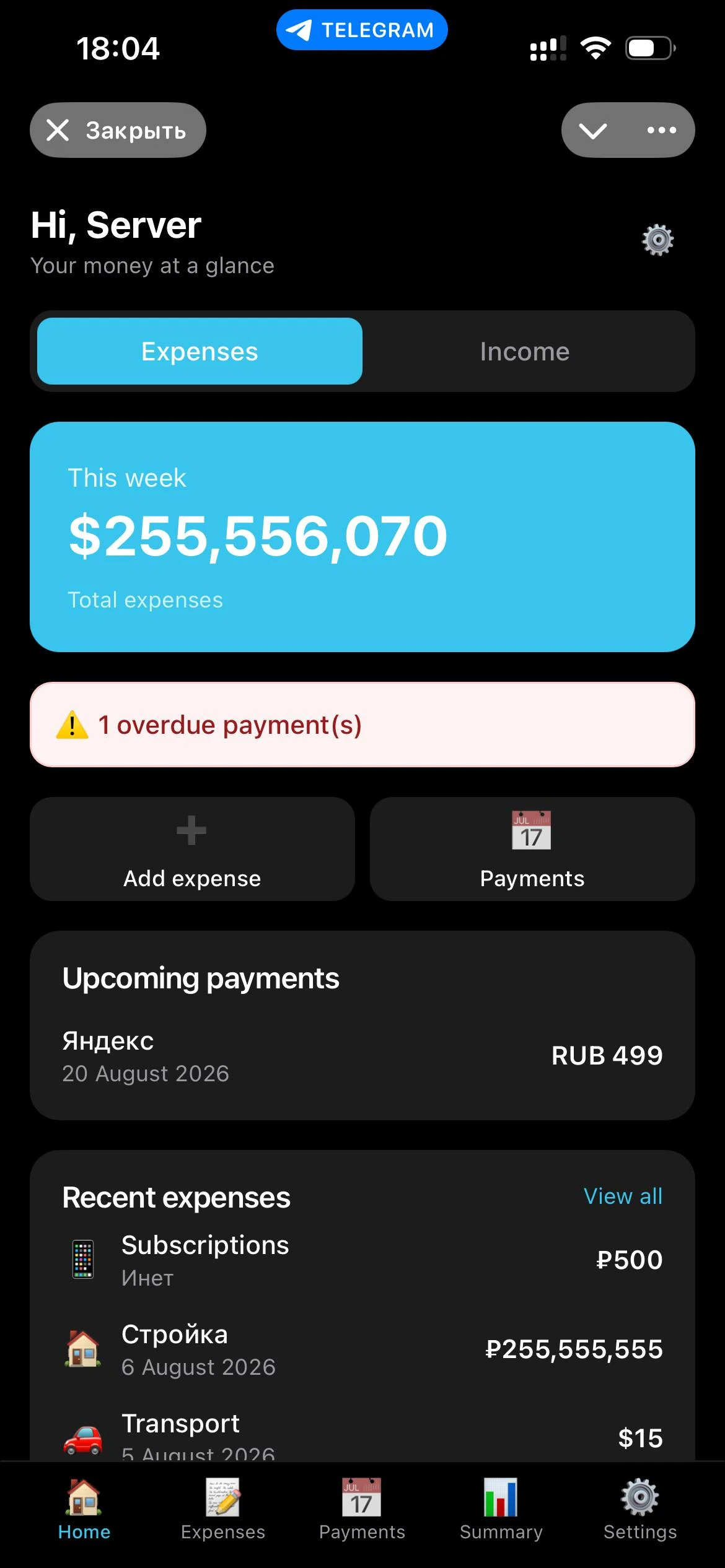 Pocket CFO — Превью 1