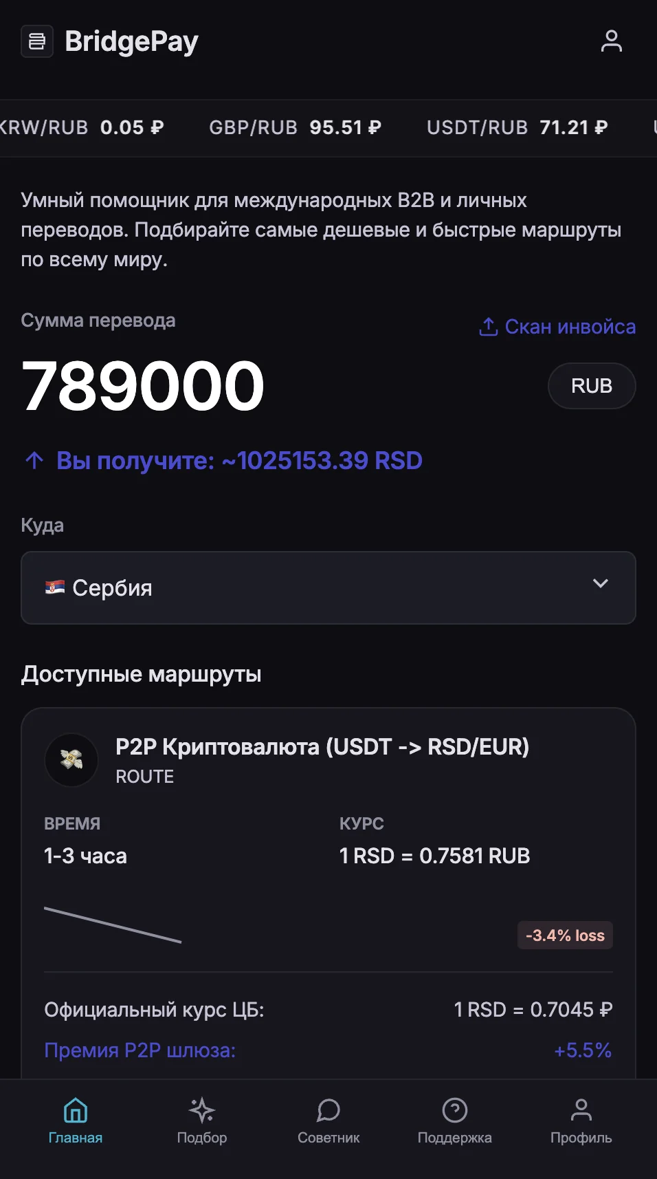 BridgePay — Превью 1
