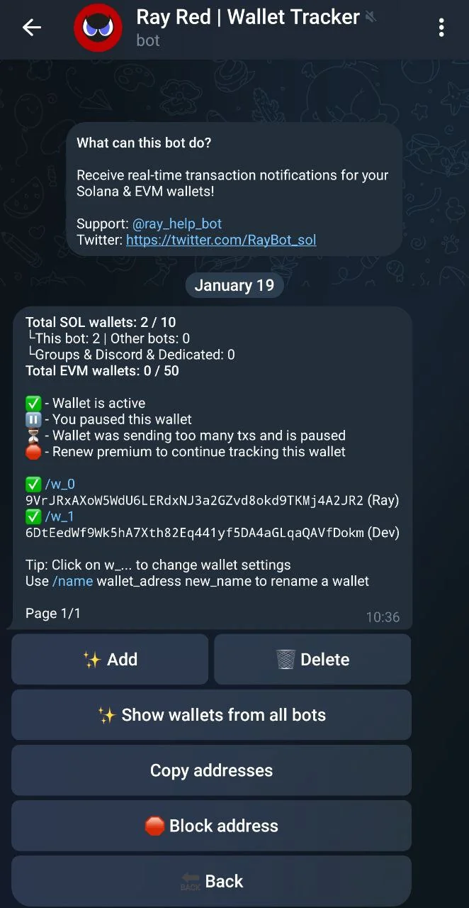 Ray Red | Wallet Tracker — Preview 1
