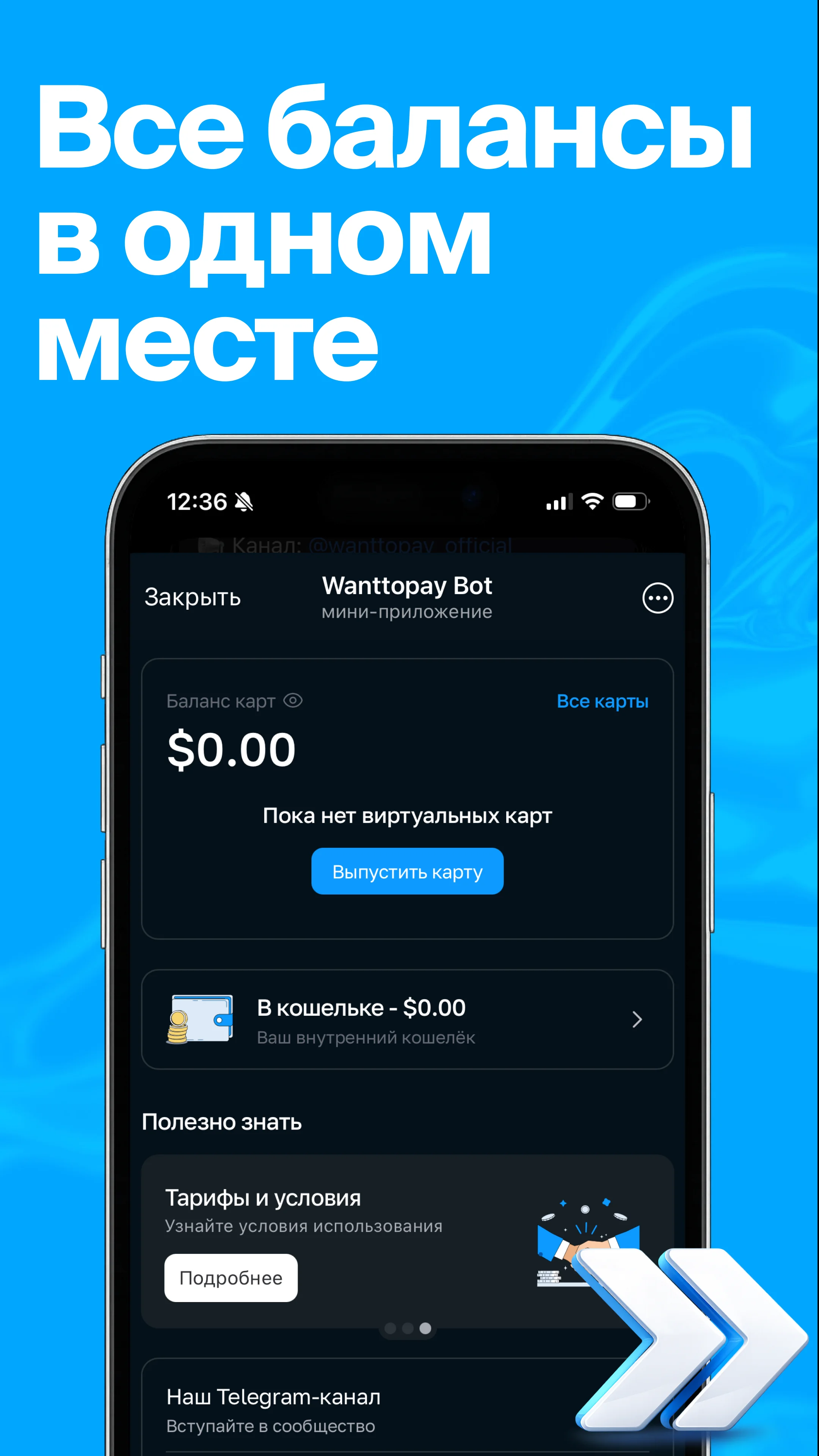 Wanttopay — Preview 3