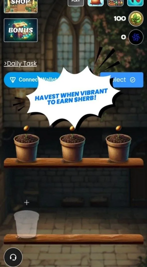 Herb Haven — Перегляд 4