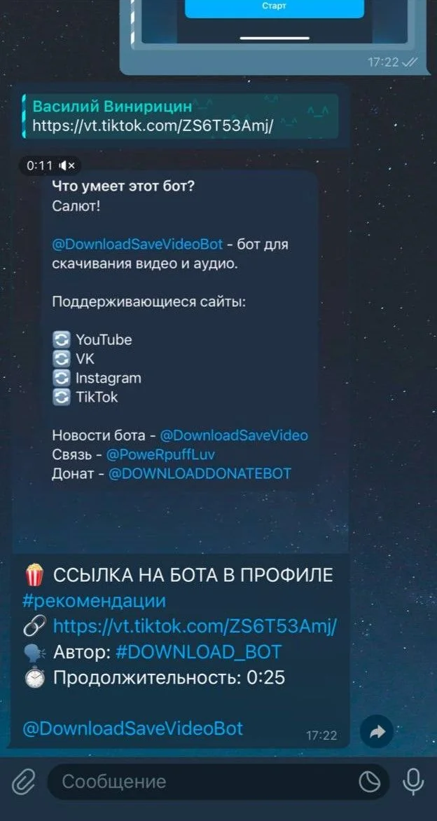 Download Save Video Bot — Preview 4