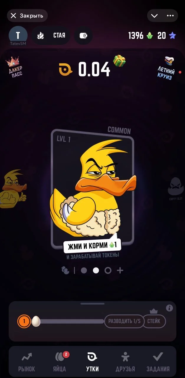DUCK × MY × DUCK — Preview 1