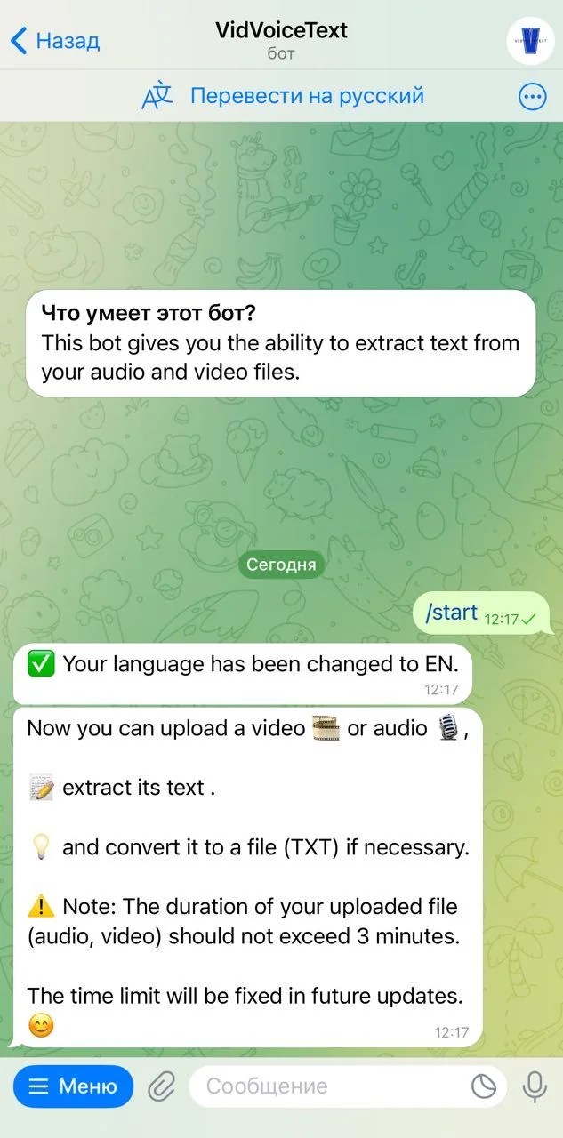 VidVoiceText — Превью 2