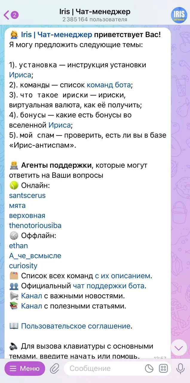 Iris | Чат-менеджер — Перегляд 2