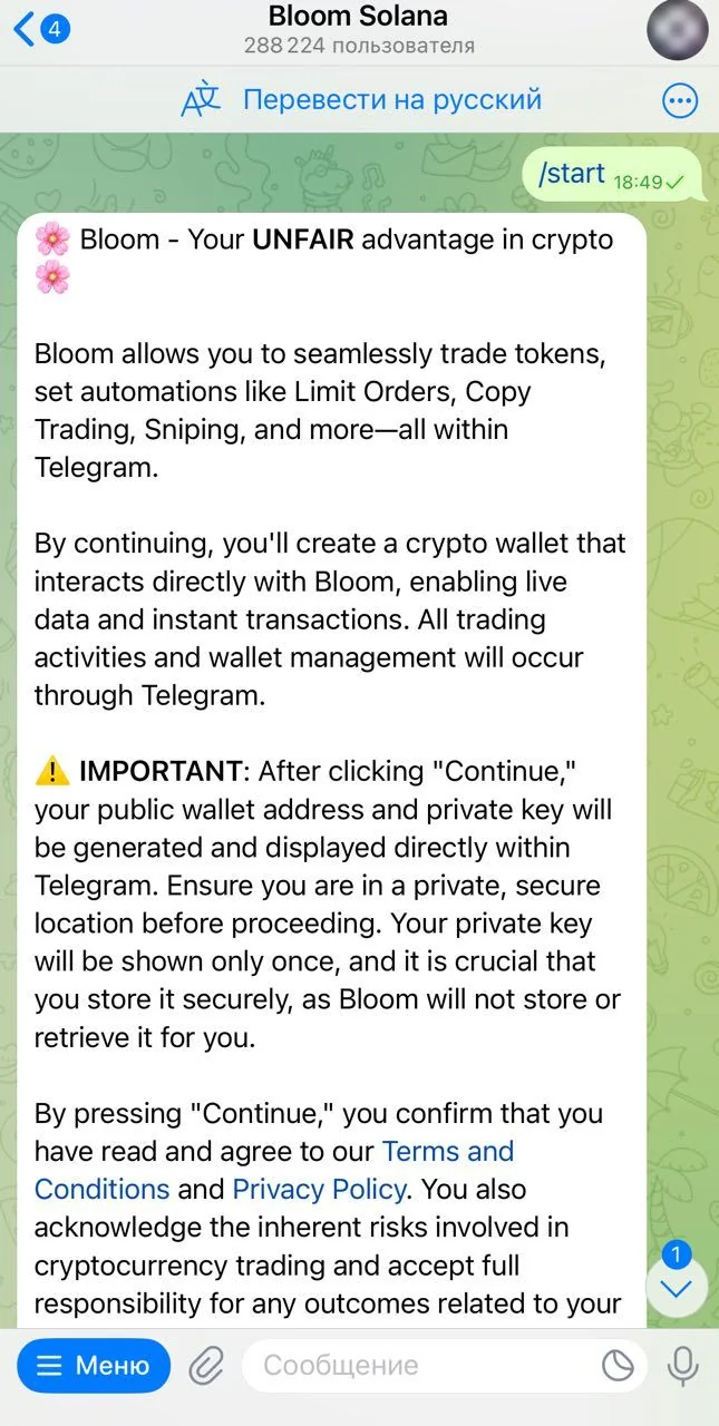 Bloom Solana — Preview 3