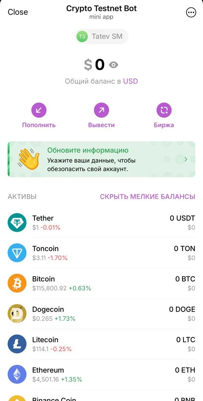 Crypto Testnet Bot — Preview 2
