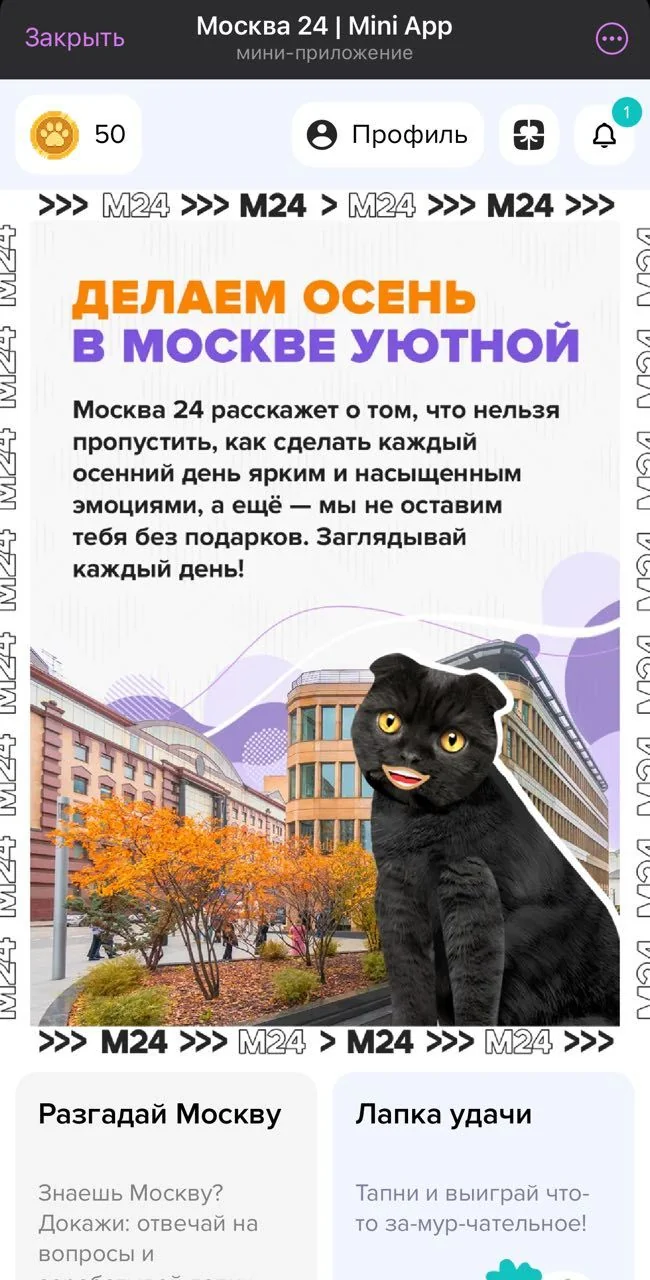 Москва 24 | Mini App — Превью 1