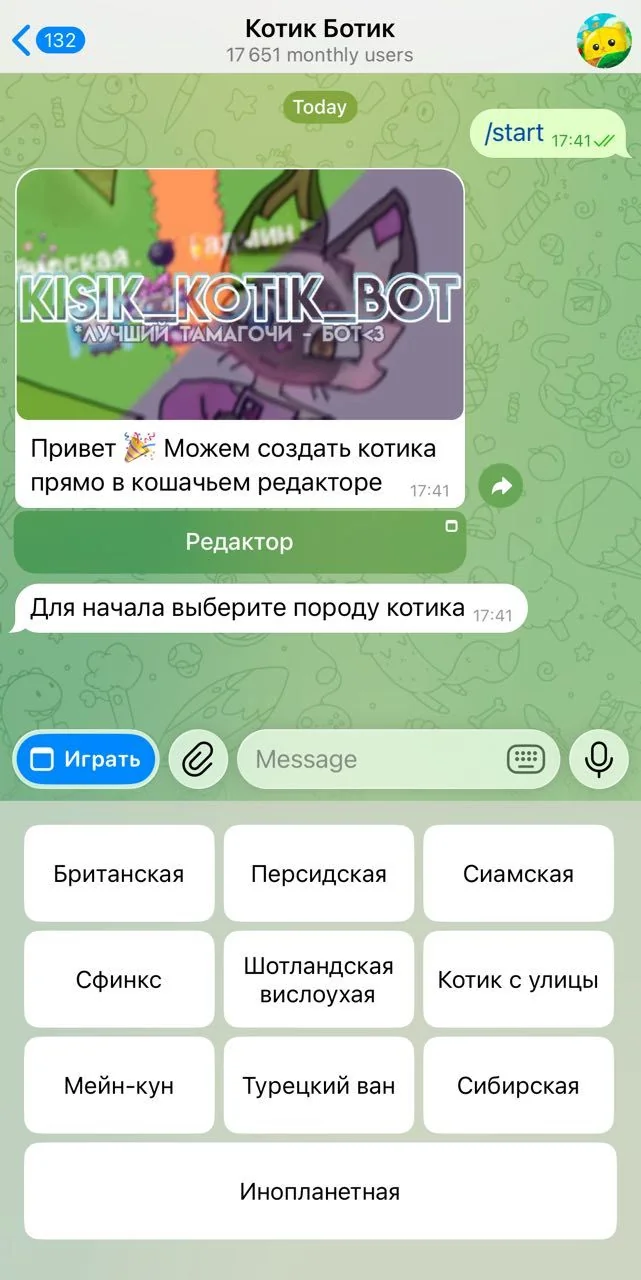 Kitty Botik — Preview 1