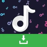 TikTok Downloader