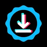 Download from TikTok, Instagram