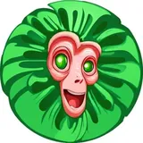 Baboon
