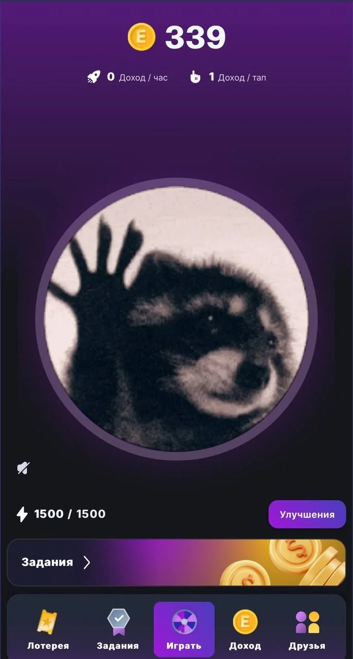Spin the raccoon 🦡 — Pratinjau 1