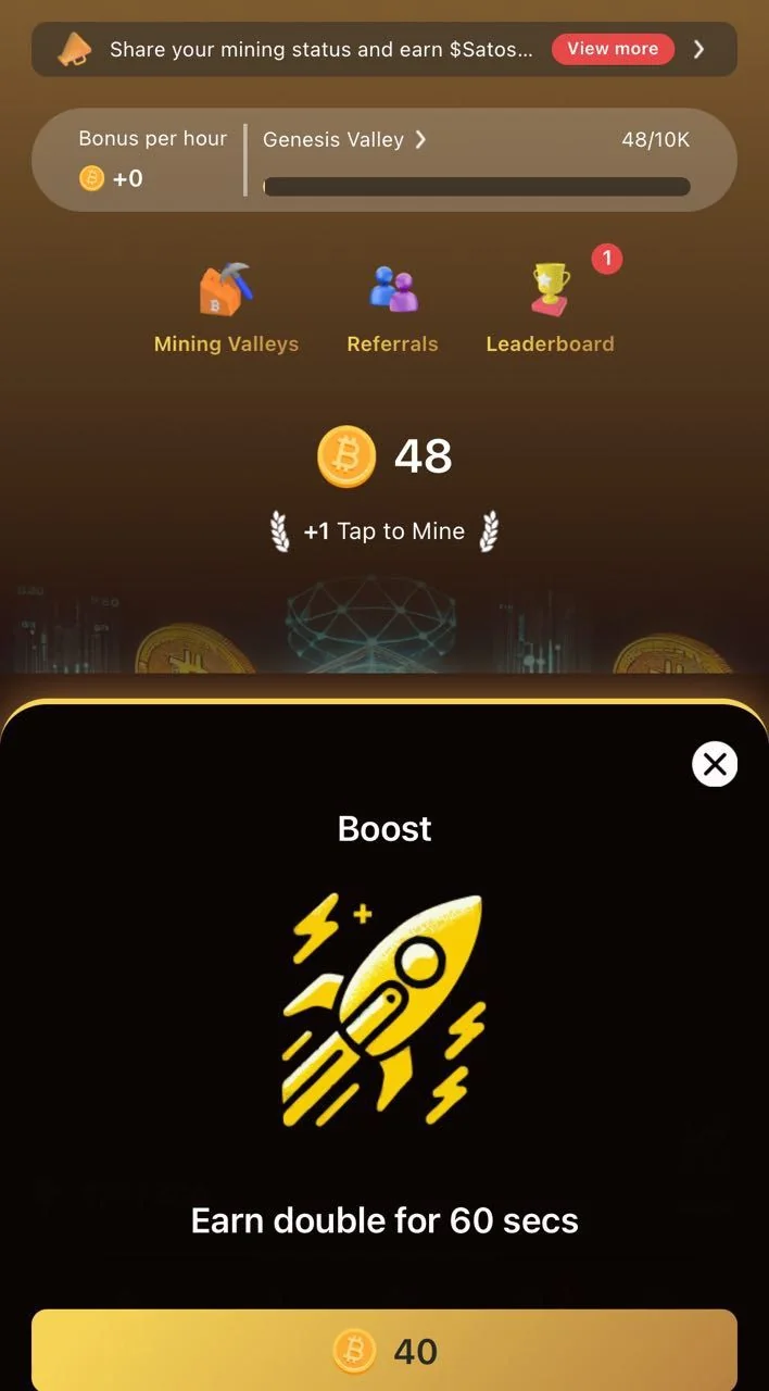 Satoshi Network — Preview 2