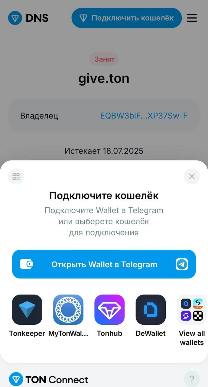 TON DNS — Pratinjau 3