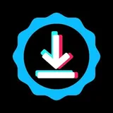 Download video from tik tok