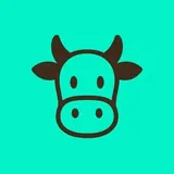 Mucca