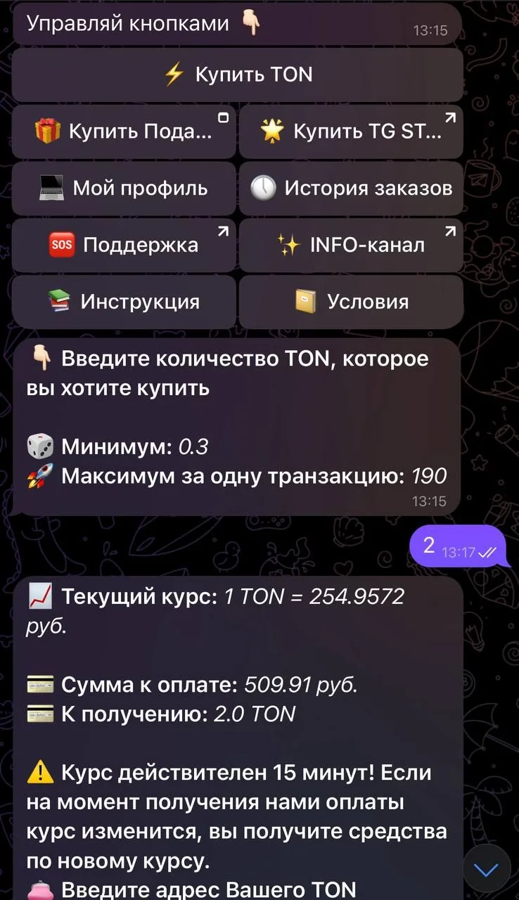 TON for rubles — Preview 3