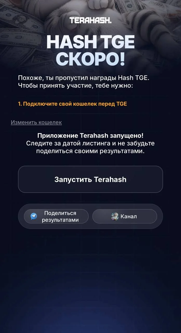 HashCats — Перегляд 1