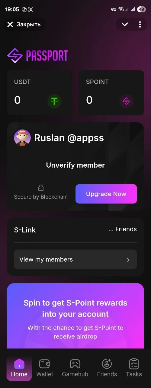 SVerse.IO | S-Passport App — Превью 3