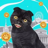 Moscow 24 | Mini App