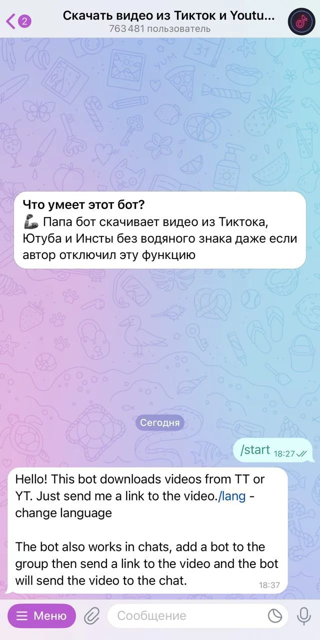 Download videos from Tiktok and Youtube — Preview 1