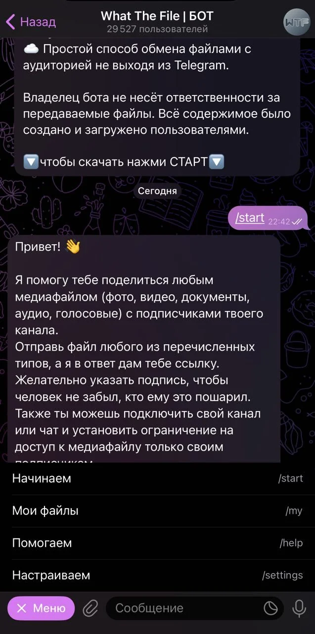 What The File | — Превью 1