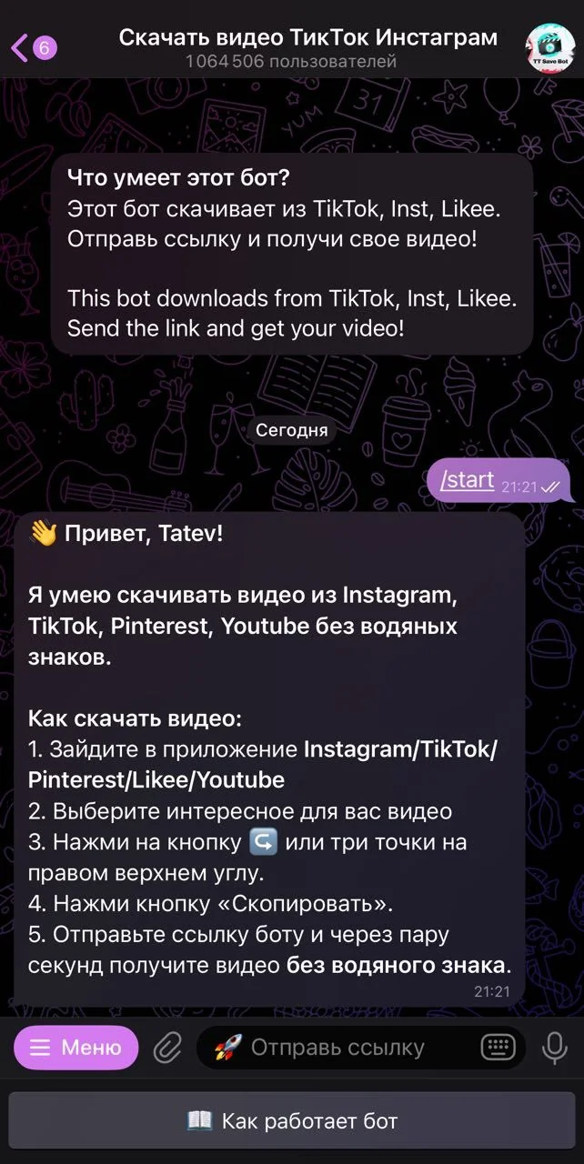 Download TikTok Instagram Video — Preview 1