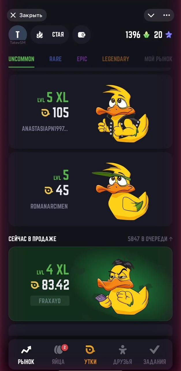 DUCK × MY × DUCK — Preview 4