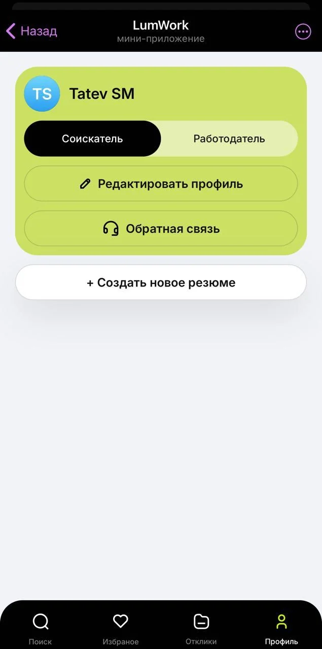 LumWork — Preview 3