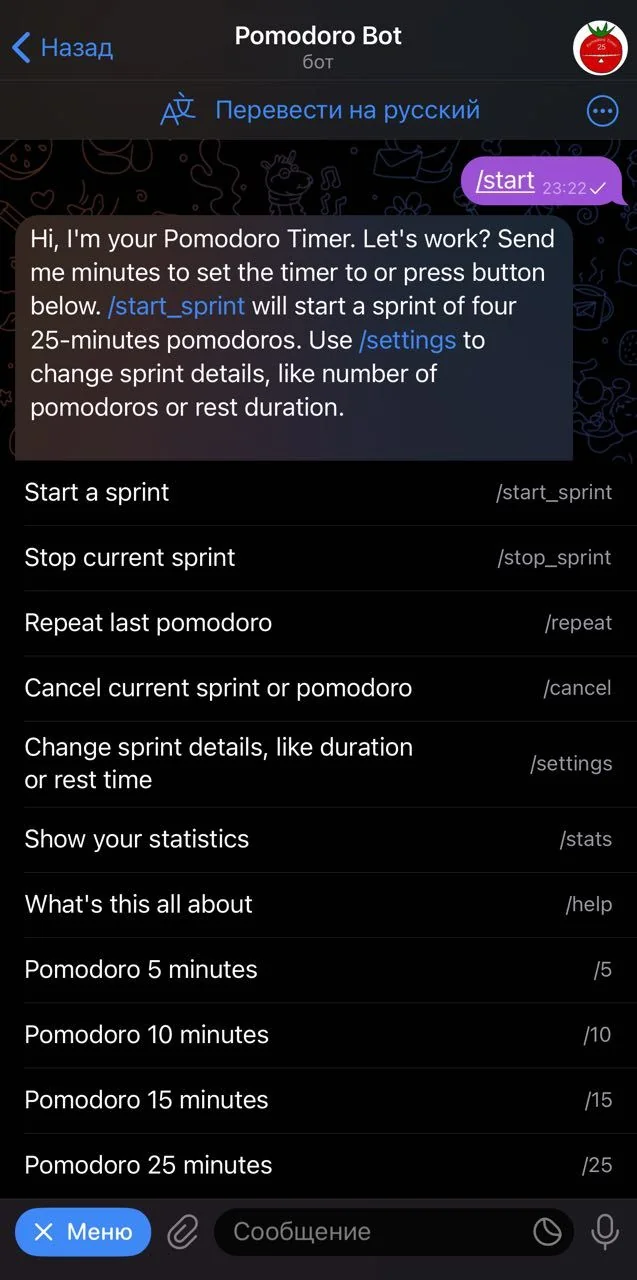 Pomodoro Bot — Preview 1