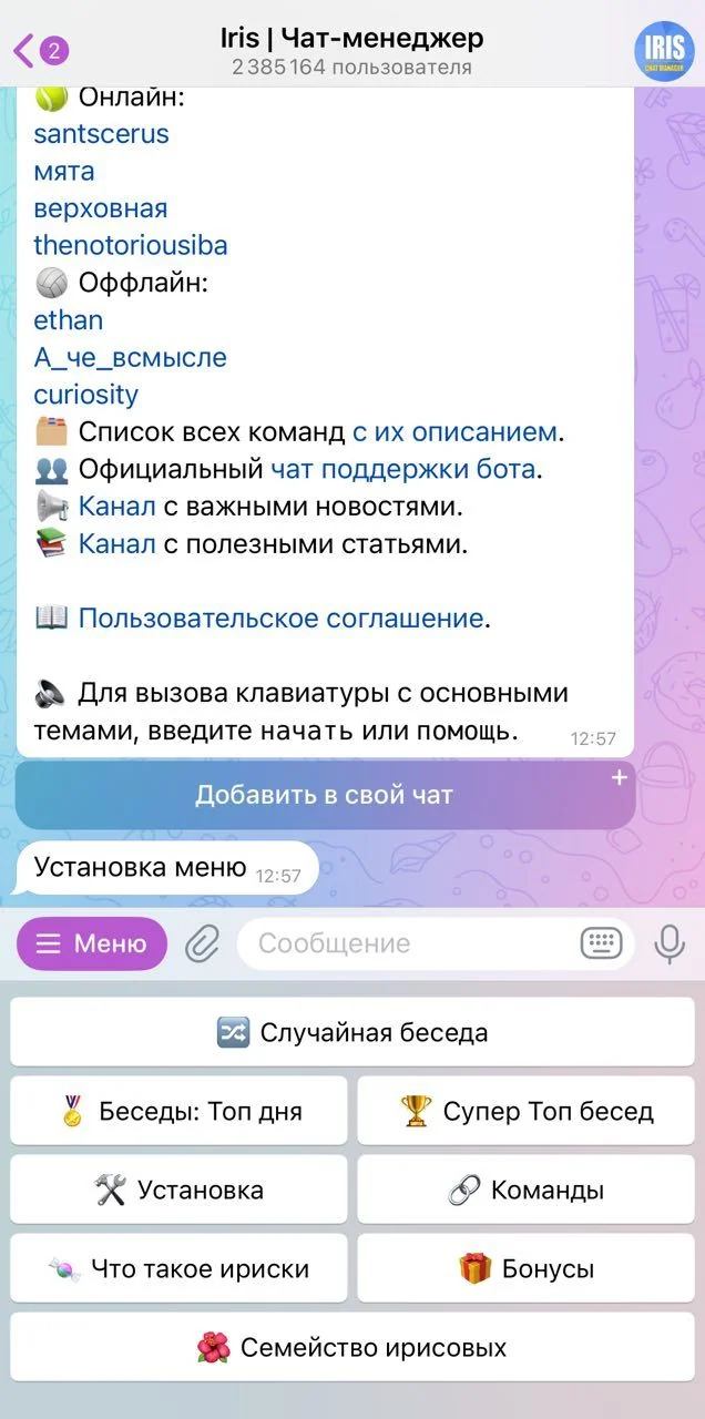 Iris | Чат-менеджер — Перегляд 1