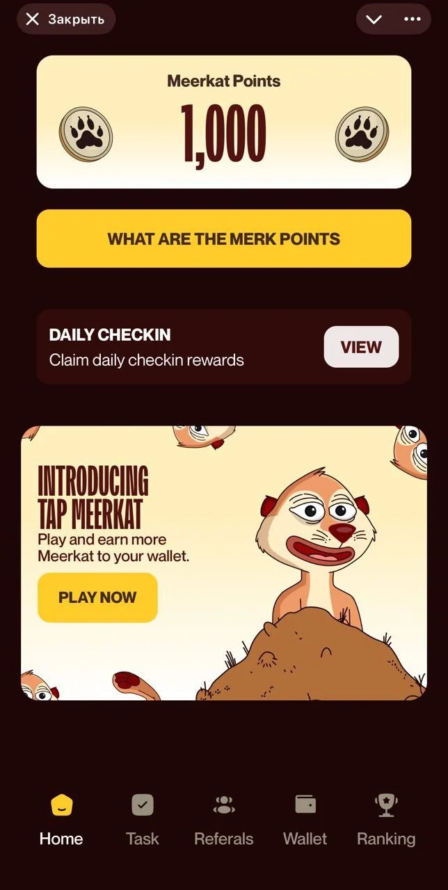 Meerkat Miniapp — Pratinjau 2