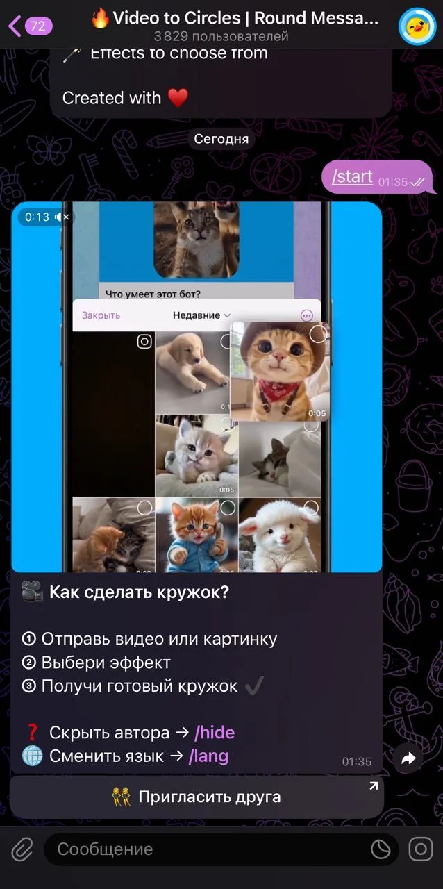 🔥 Видео в кружок | Круглые сообщения — Превью 2