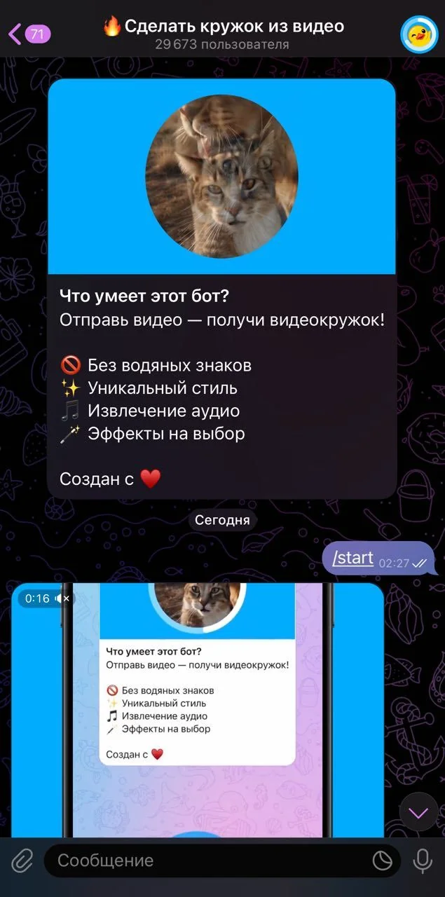 🔥Сделать кружок из видео — Превью 1