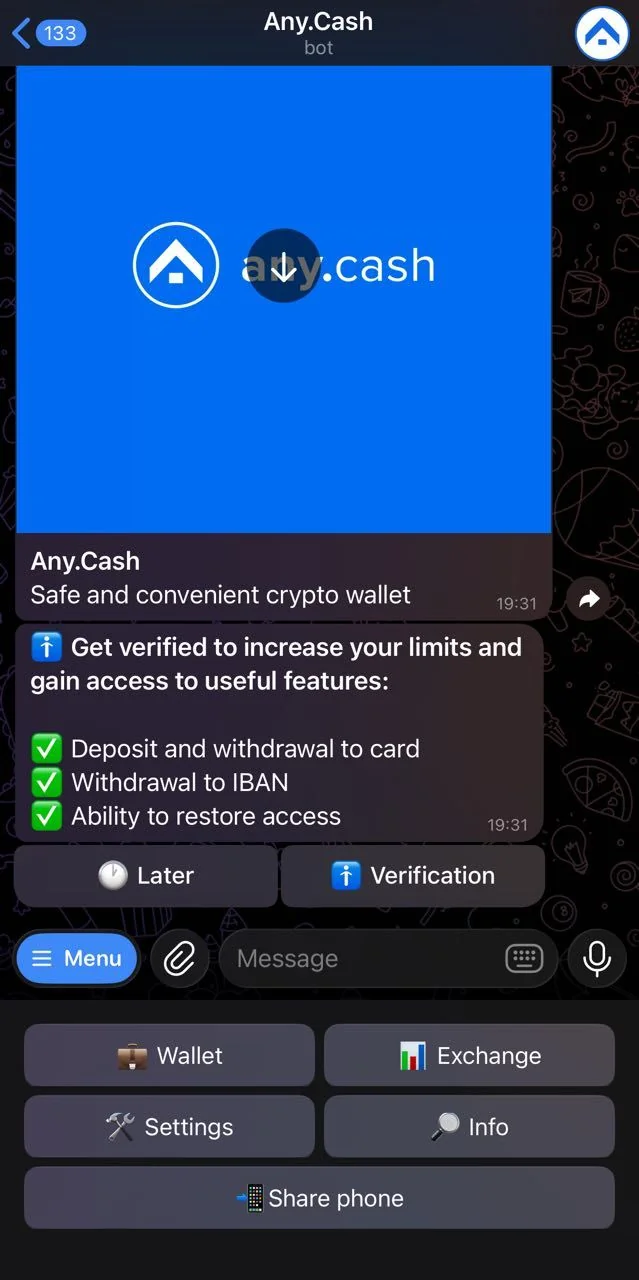 Any.Cash — Preview 2