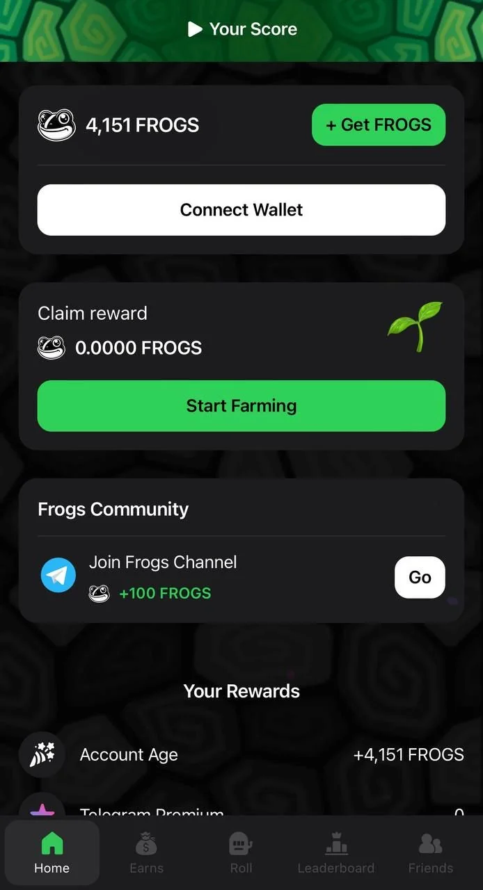 Frogs 🐸 — Preview 1