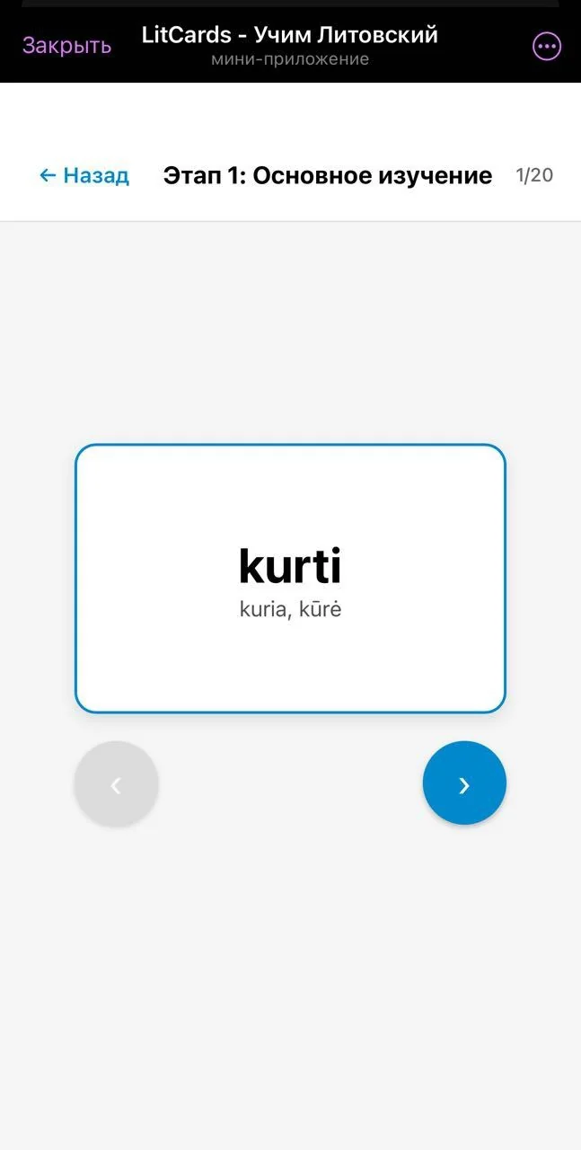 LitCards - Learn Lithuanian — Preview 4