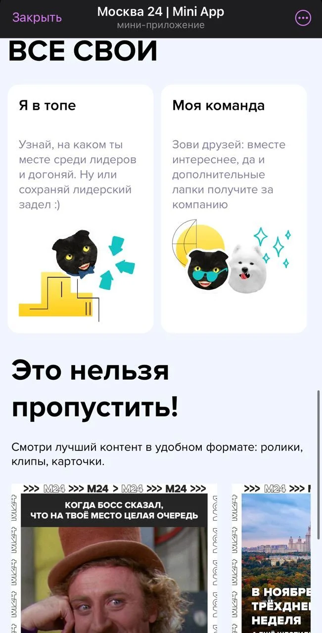 Москва 24 | Mini App — Превью 3